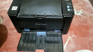Pantum P2500 Black and White Printer
