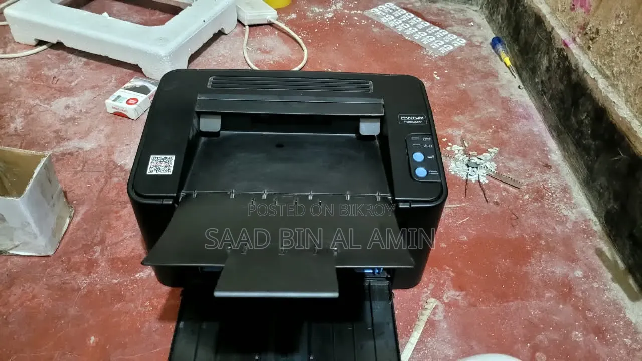 Pantum P2500 Black and White Printer