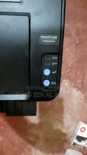 Pantum P2500 Black and White Printer