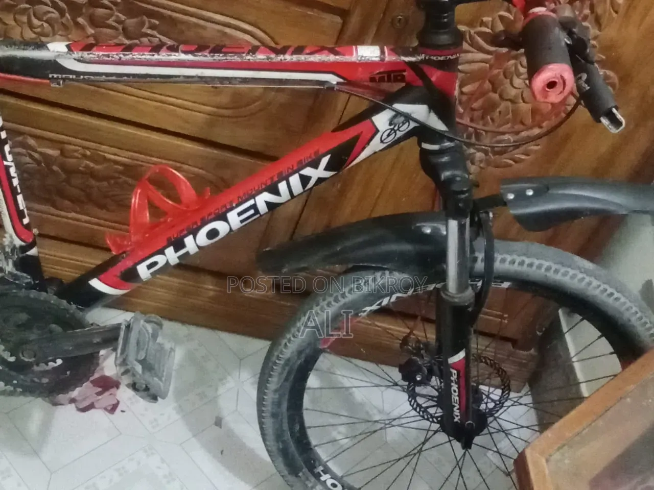 Cycle 24inch