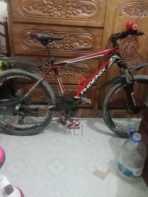 Cycle 24inch