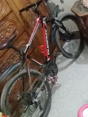 Cycle 24inch