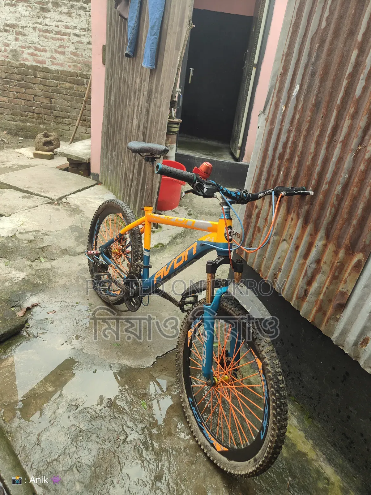 Avon Cycle