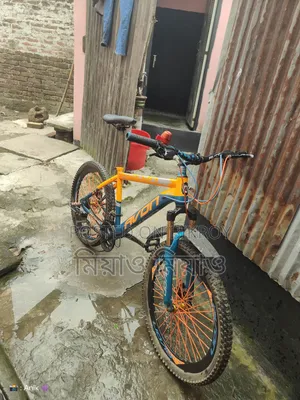 Avon Cycle