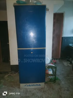 যমুনা ফ্রিজ