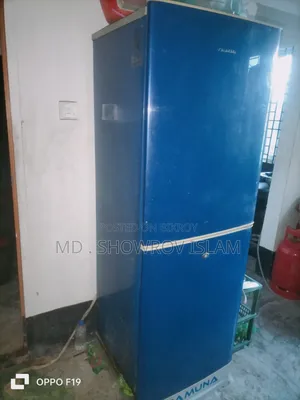 যমুনা ফ্রিজ
