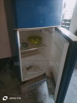 যমুনা ফ্রিজ