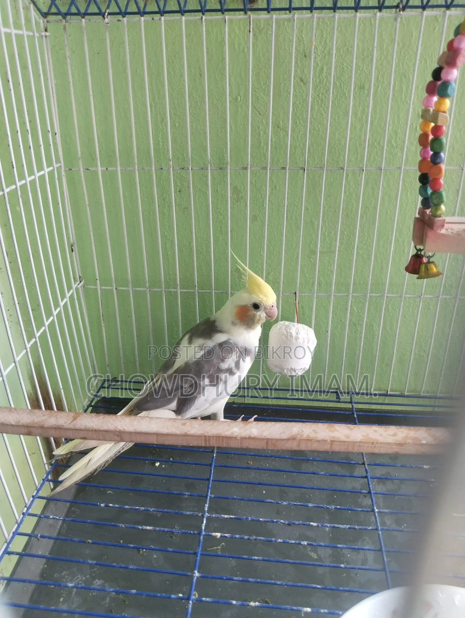 Cocktails Male Running 2 Pcs.