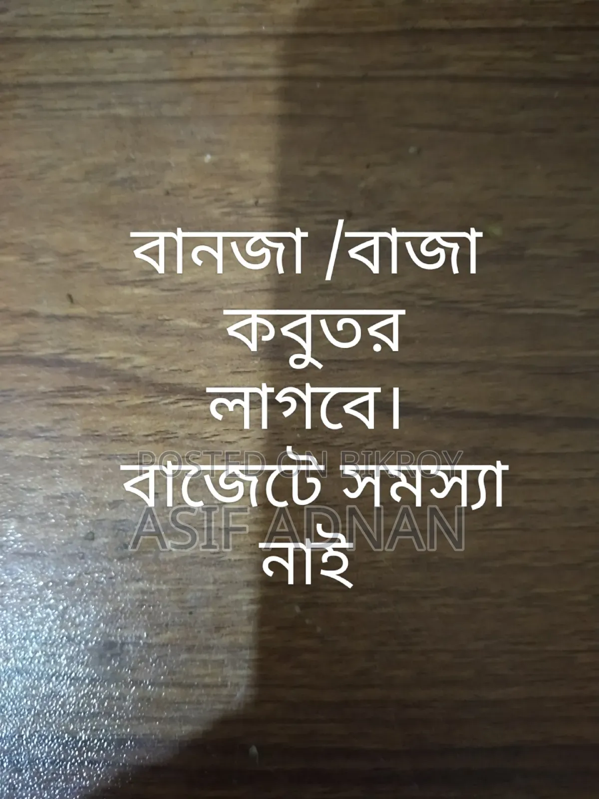 বাঞ্জা কবুতর লাগবে