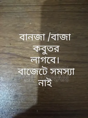 বাঞ্জা কবুতর লাগবে