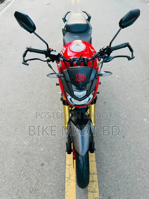 Runner Bolt 165R 2022 Red