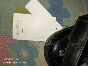 Shoe 42 Size