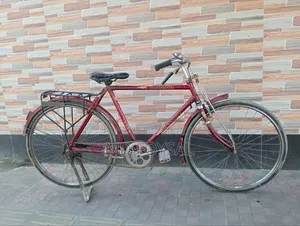 26 Inch Duronto Cycle