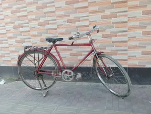 26 Inch Duronto Cycle