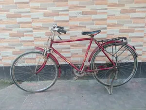 26 Inch Duronto Cycle