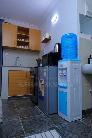 Furnished 3 Bedroom Apartment in Basundhara for Rent