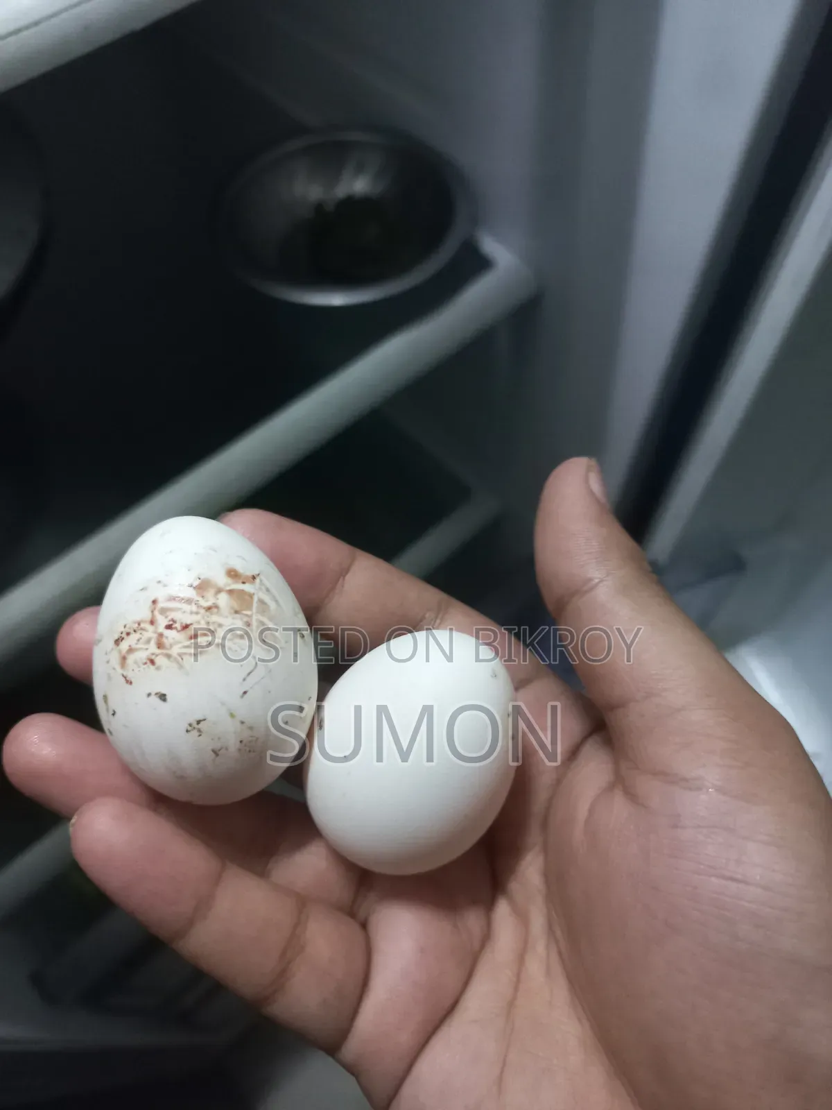 দেশি মুরগী