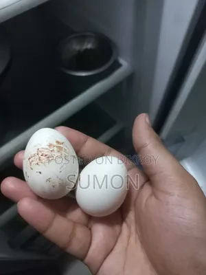 দেশি মুরগী