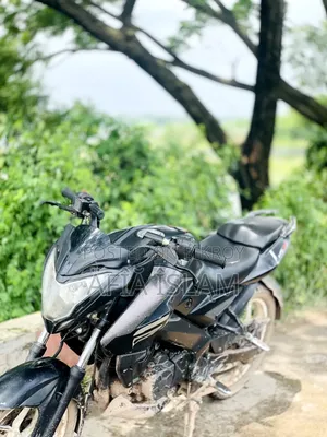 Bajaj Pulsar NS 160 2019 Black