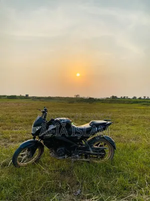 Bajaj Pulsar NS 160 2019 Black