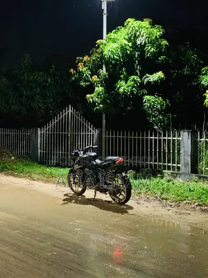 Bajaj Pulsar NS 160 2019 Black