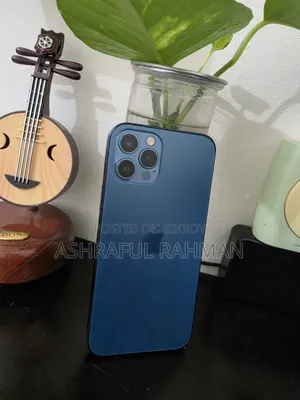 অ্যাপল আইফোন ১২ প্রো ২৫৬ জিবি নীল