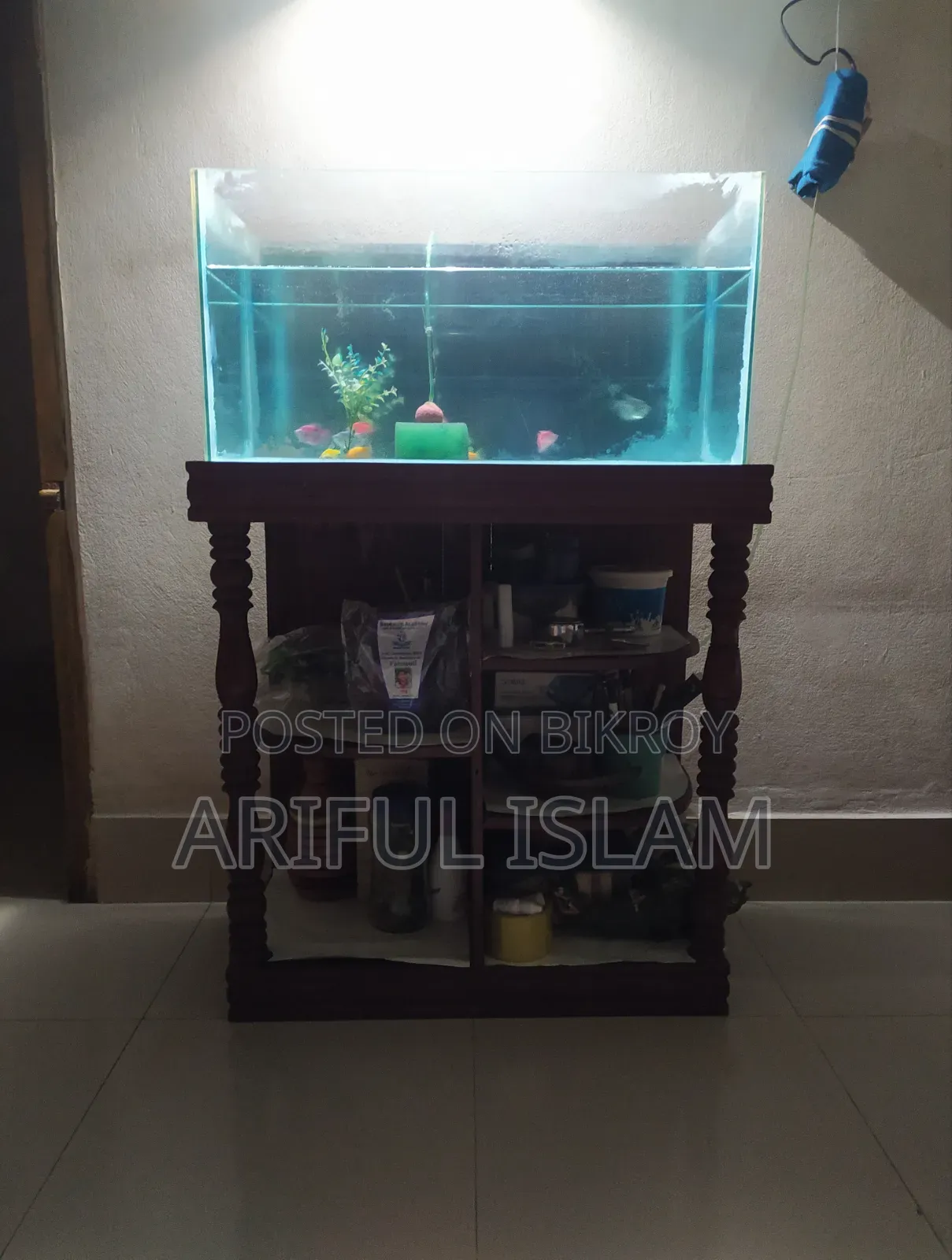 Aquarium Set Up