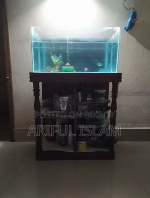 Aquarium Set Up