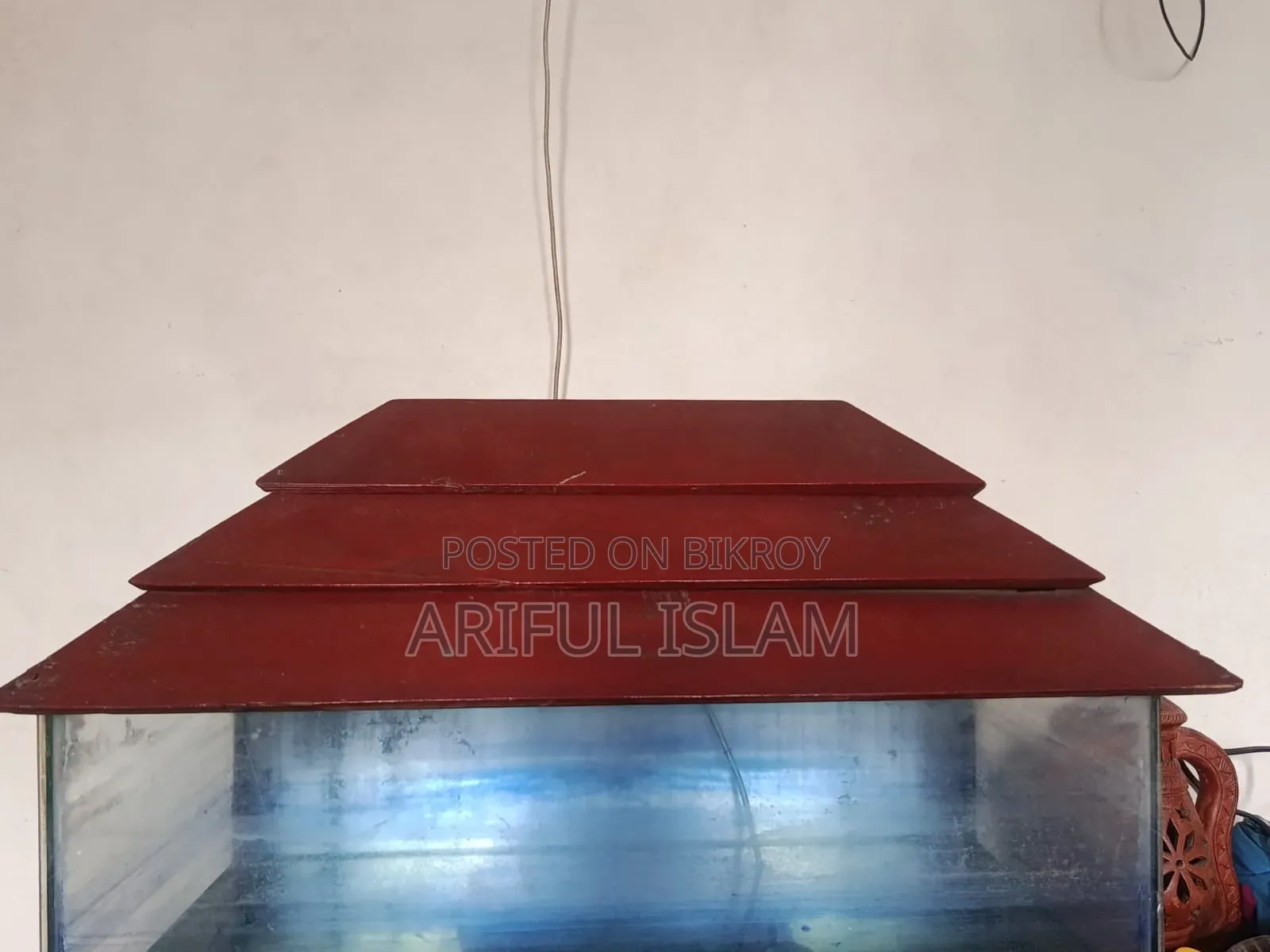 Aquarium Set Up