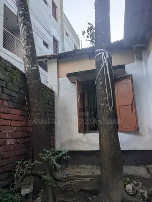 ৩ টি মেহগনি গাছ, ১ টি আমড়া গাছ আর ১ টি কাঠবাদাম গাছ বিক্রি
