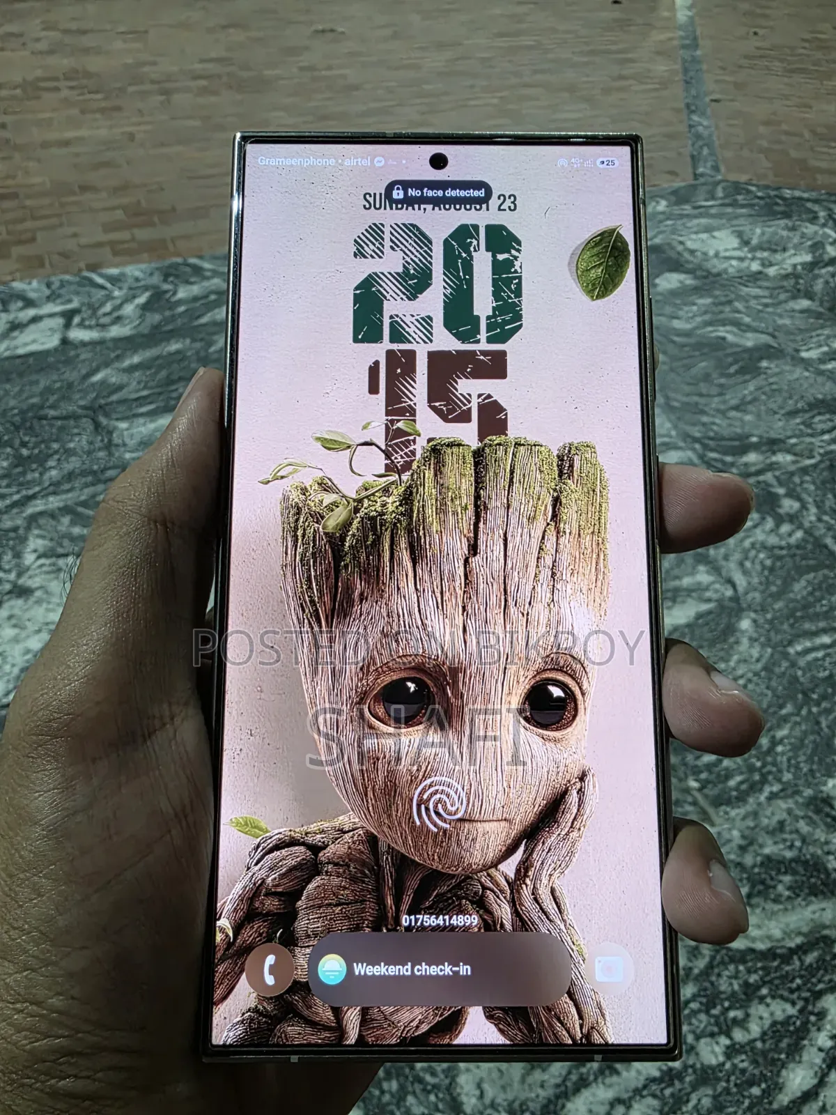 স্যামসাং গ্যালাক্সি এস২৪ আল্ট্রা ২৫৬ জিবি গ্রে
