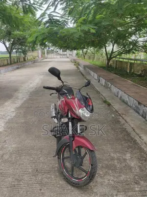 Bajaj Discover 100 2017 Red