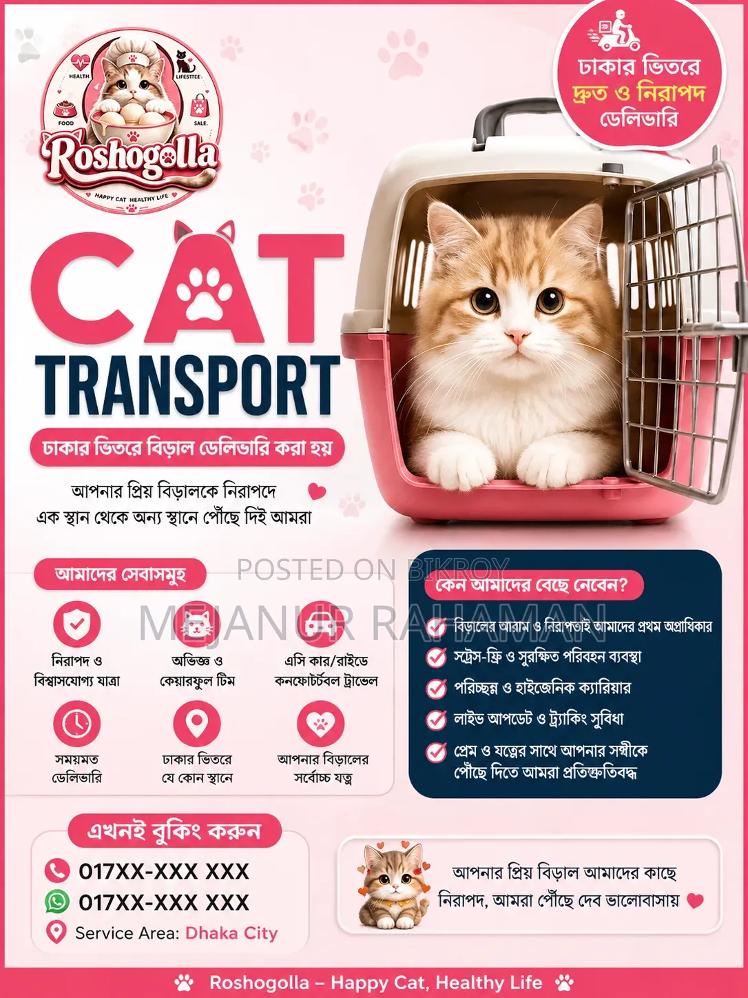 Cat Transport in Dhaka