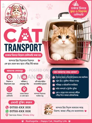 Cat Transport in Dhaka