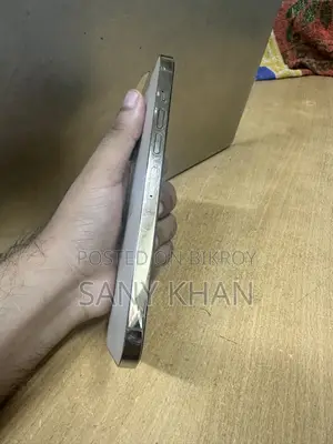 অ্যাপল আইফোন ১৩ প্রো ম্যাক্স ১২৮ জিবি গোল্ড