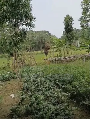 Gazipur Rahapara Mouza Land Sale