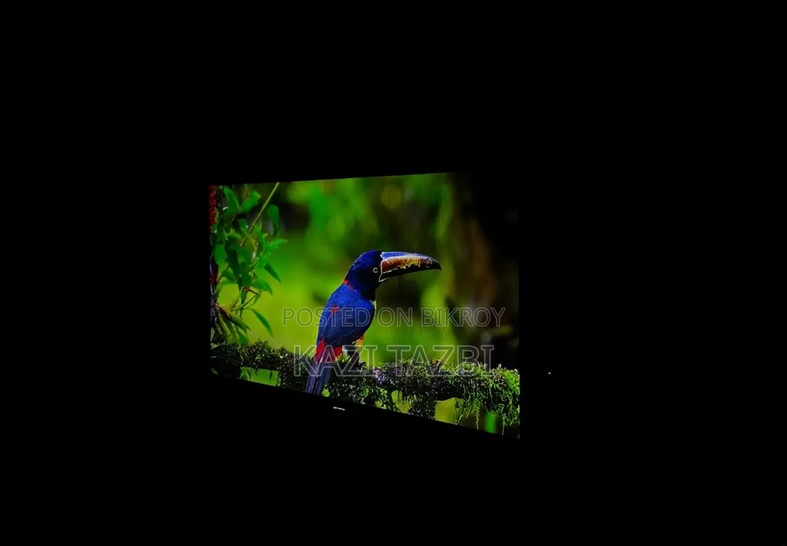 র্যাংস টিভি ৪৩"