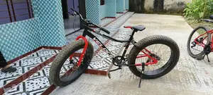 Fat Bike Bicycle for Sell