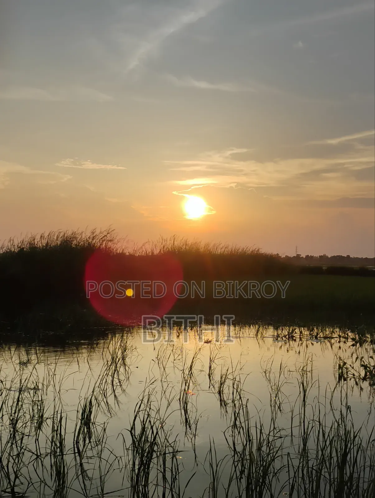Nature picture of golden clouds.