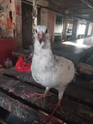 বিক্রয়ের পোস্ট