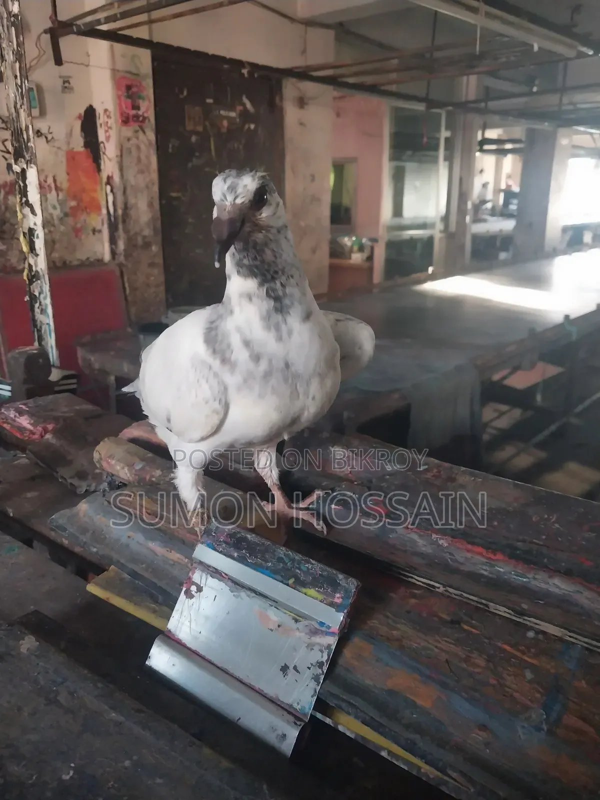 বিক্রয়ের পোস্ট