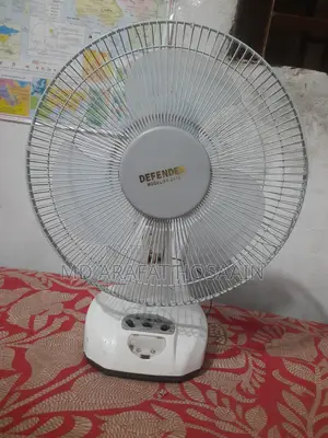 ১২ ইঞ্চি সোয়ার ফ্যানটি বিক্রয় করা হবে।