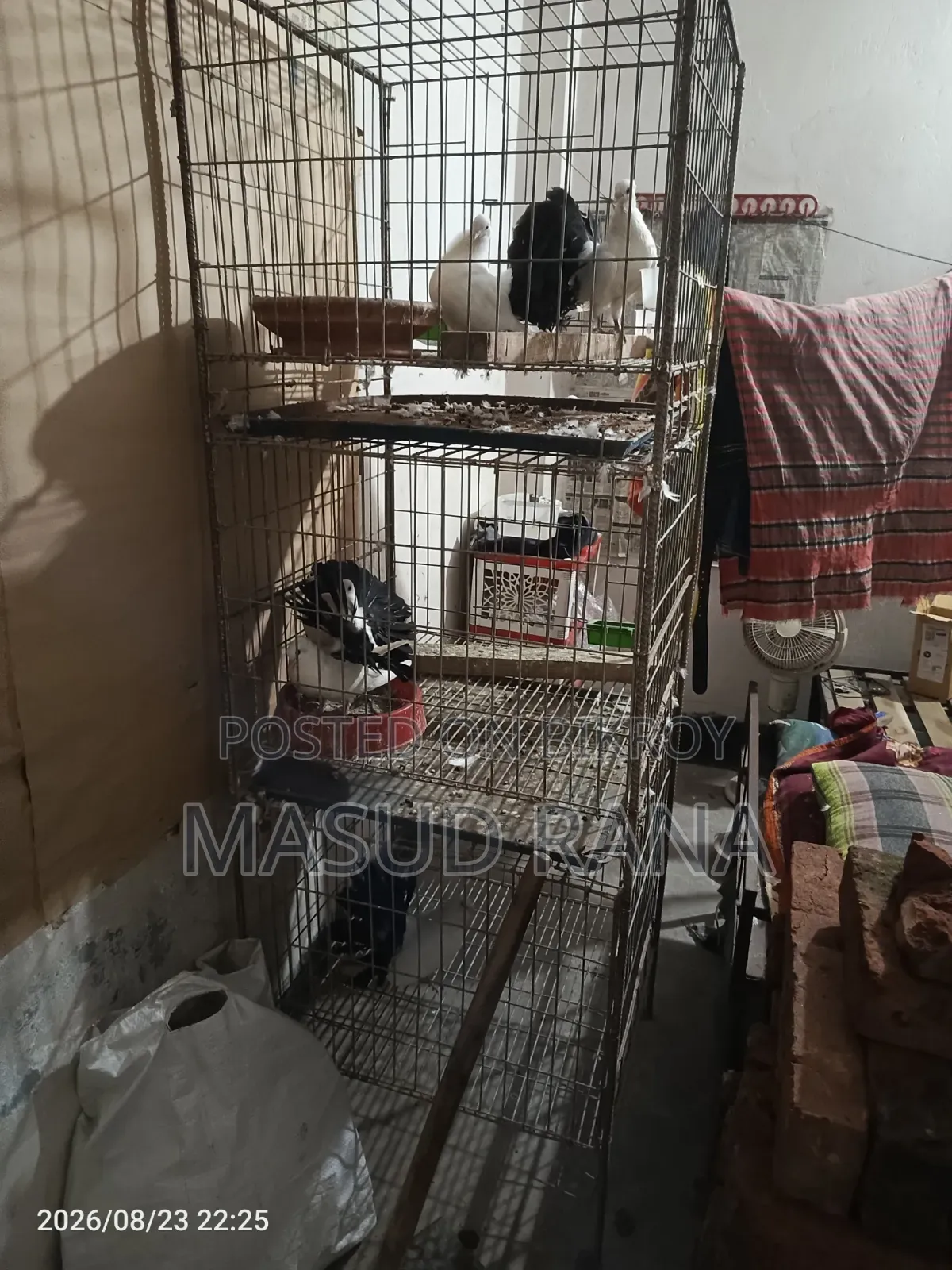 ফ্যান্টেইল টেলমার্ক