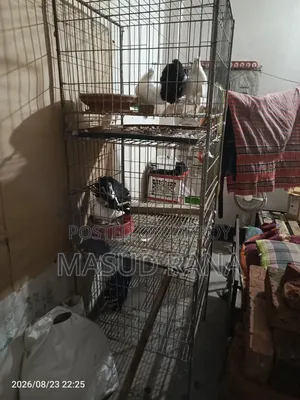 ফ্যান্টেইল টেলমার্ক