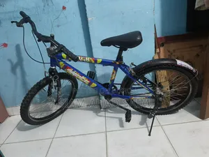 ম্যাজিক প্রিন্স বাই সাইকেল