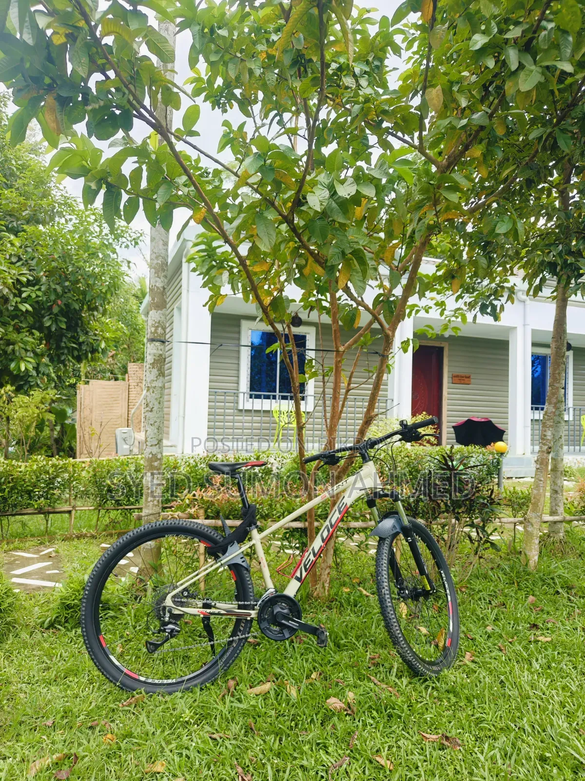 Mountain Bike