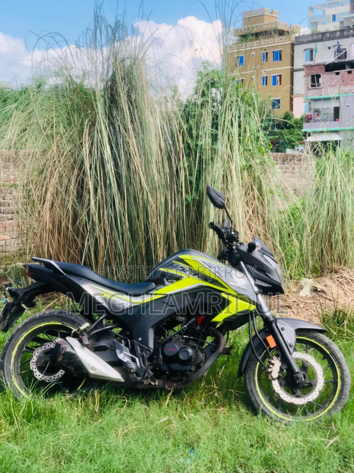 Honda Hornet 2019 Green