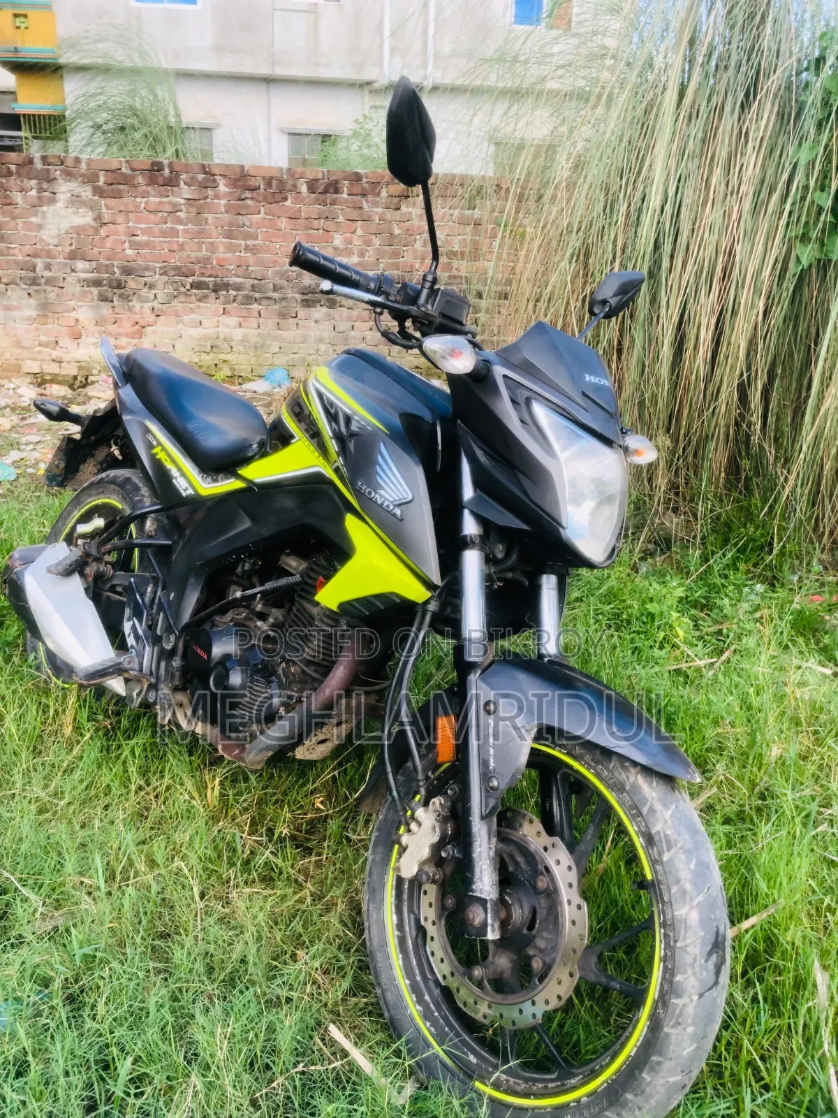 Honda Hornet 2019 Green