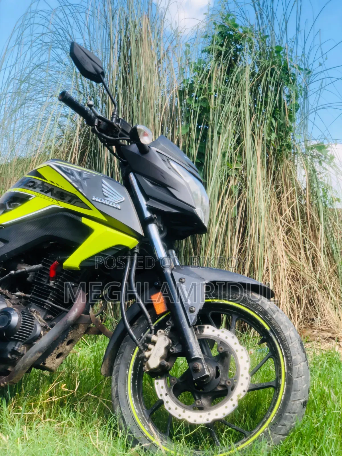 Honda Hornet 2019 Green