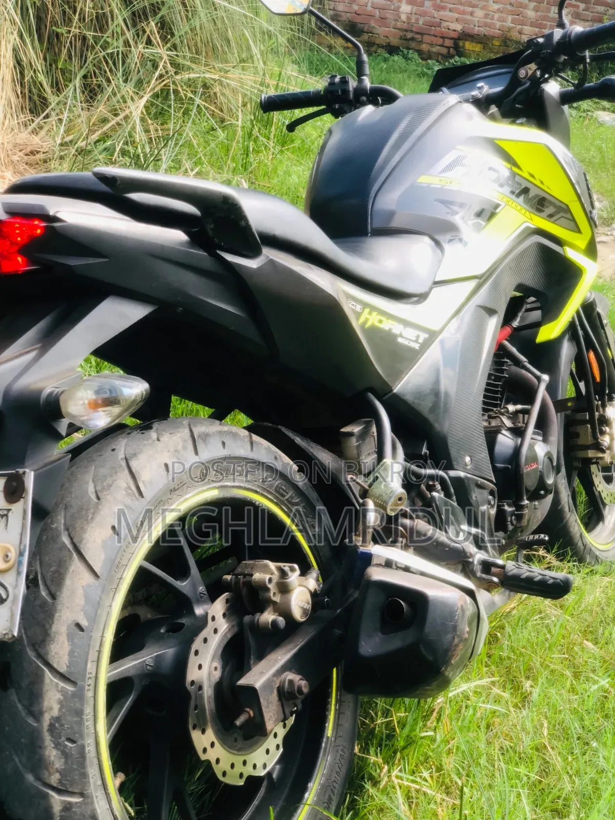 Honda Hornet 2019 Green